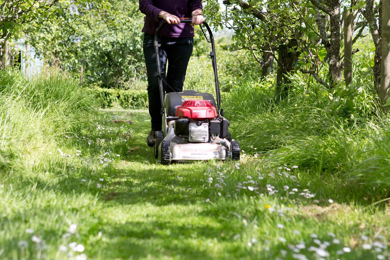 Garden Work
