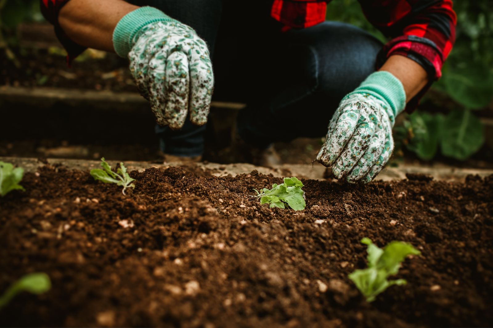 Garden Work thumbnail 2