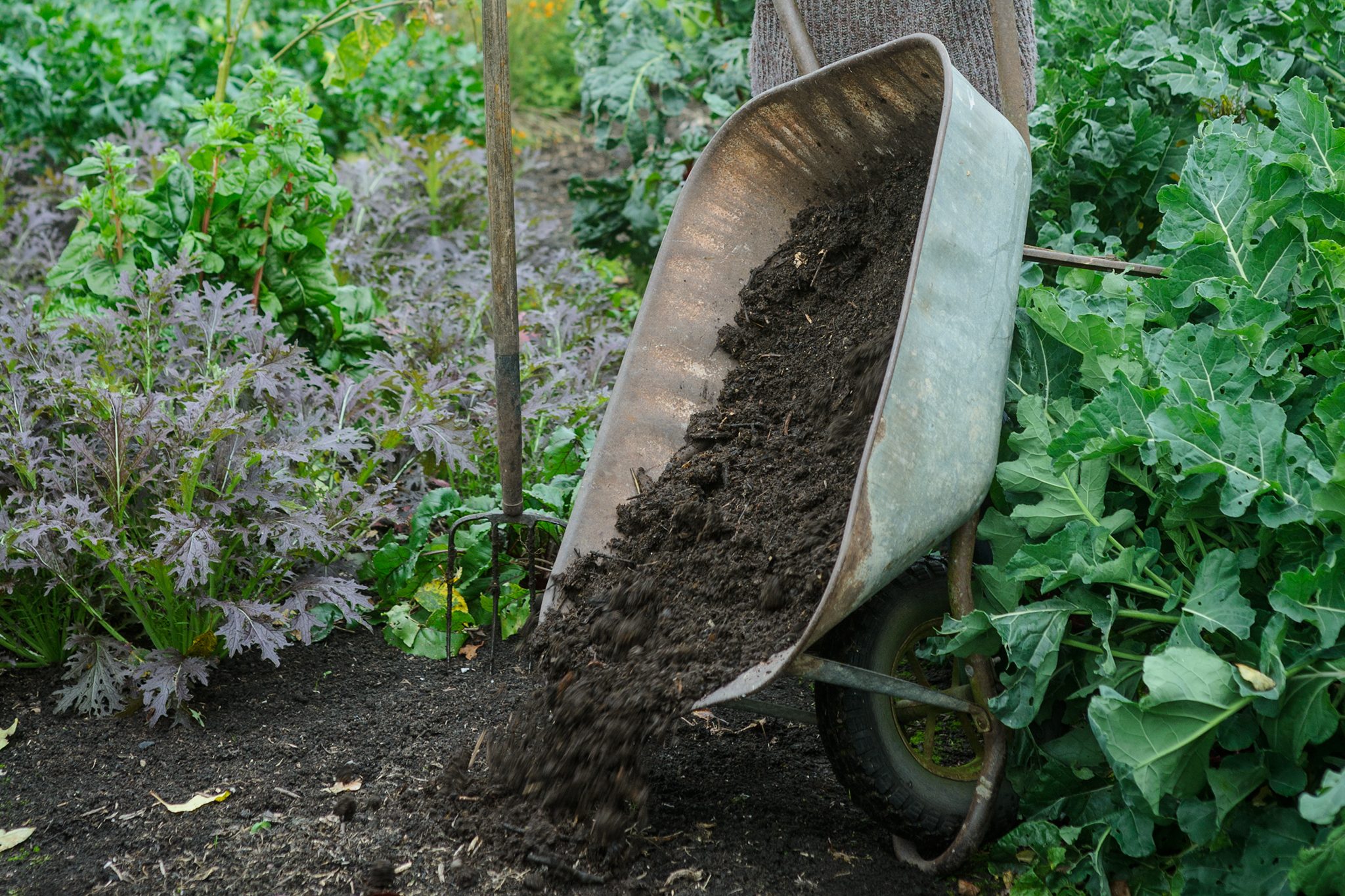 Garden Work thumbnail 4