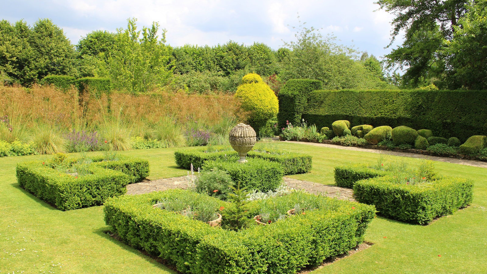 Hedge Trimming thumbnail 2