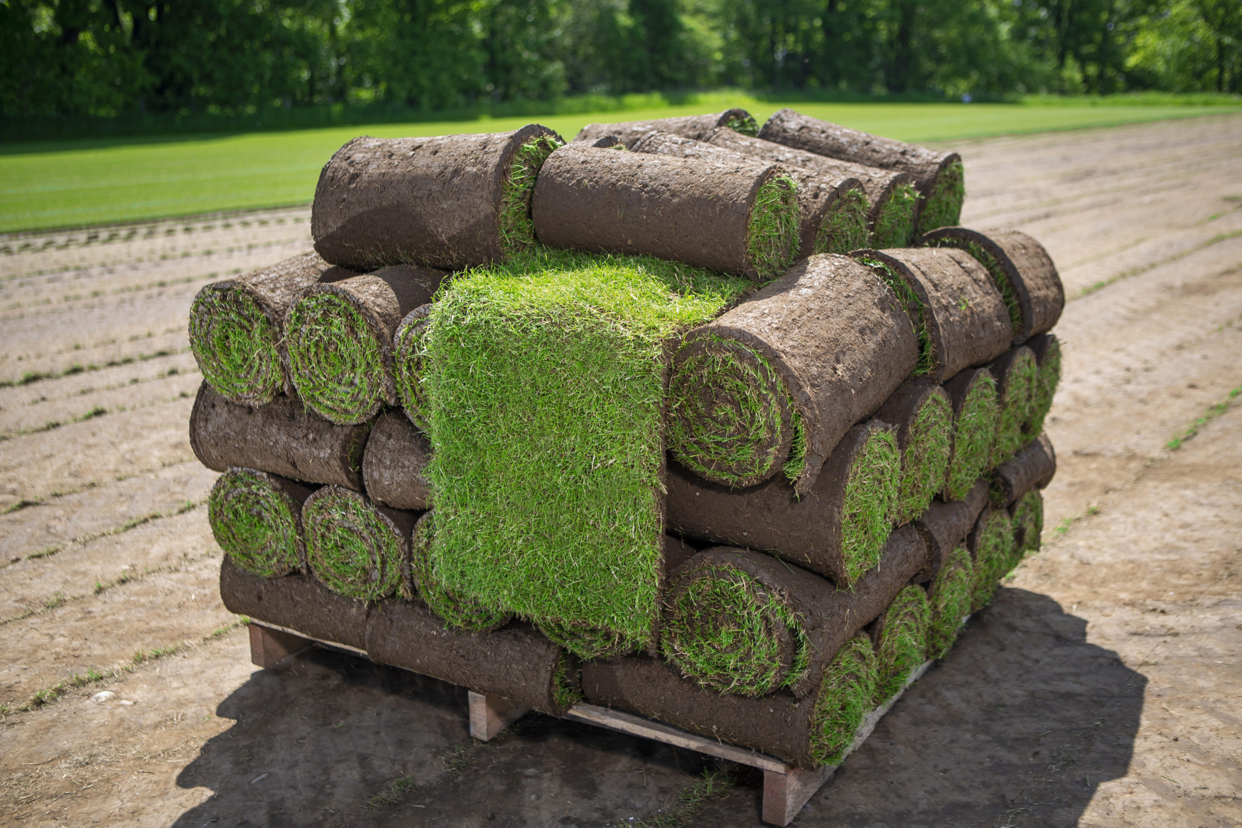 Turfing